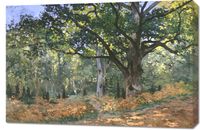 Obraz 90x60cm The Bodmer Oak, Monet Vintage do Salonu