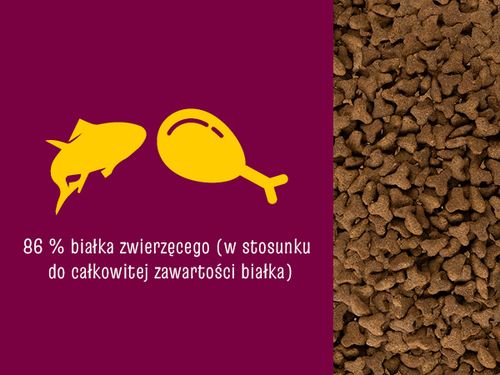 josicat josera classic sterilised 10kg na Arena.pl