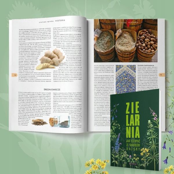 Wszystko o ZIOŁACH i ich zastosowaniu ZIELARNIA zdjęcie 3