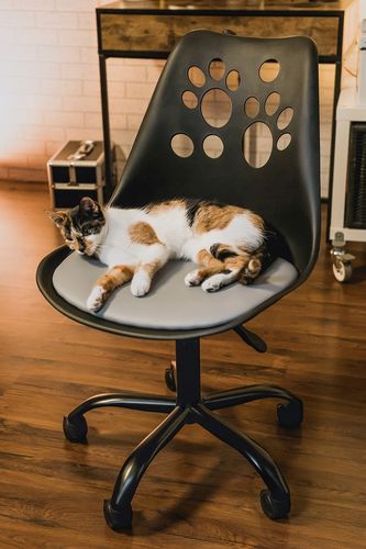 krzesło joy czarno-szare na Arena.pl