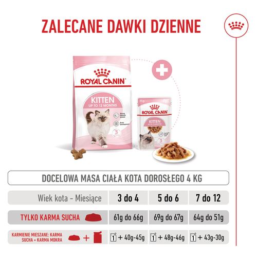 royal canin  kitten 2kg na Arena.pl