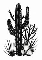 Plakat 42x59,4cm Kaktus w Krasie