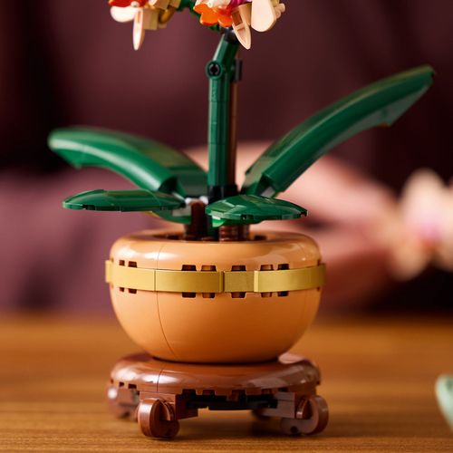 LEGO Botanicals 10343 Mała orchidea na Arena.pl
