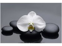 60X40CM BIAŁY STORCZYK OBRAZ