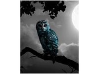 product-compare-58650310