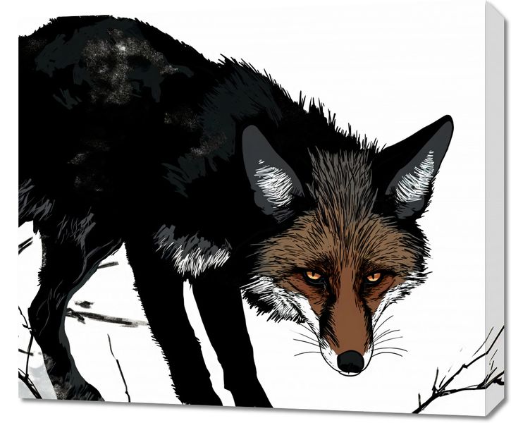Obraz 70x60cm Nieufny Lis zdjęcie 1