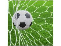 50X50CM PIŁKA BRAMCE OBRAZ