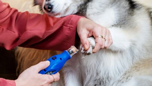 DREMEL SZLIFIERKA DO PAZURÓW 7350 PET na Arena.pl