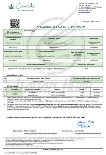 CBD SUSZ KONOPNY | AMNESIA HAZE PREMIUM 30g na Arena.pl