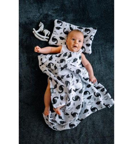 Bawełniana Poduszeczka (Dinozaury) na Arena.pl