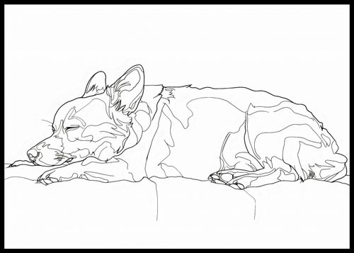 Plakat 84,1x59,4cm Śpiący Psiak na Arena.pl