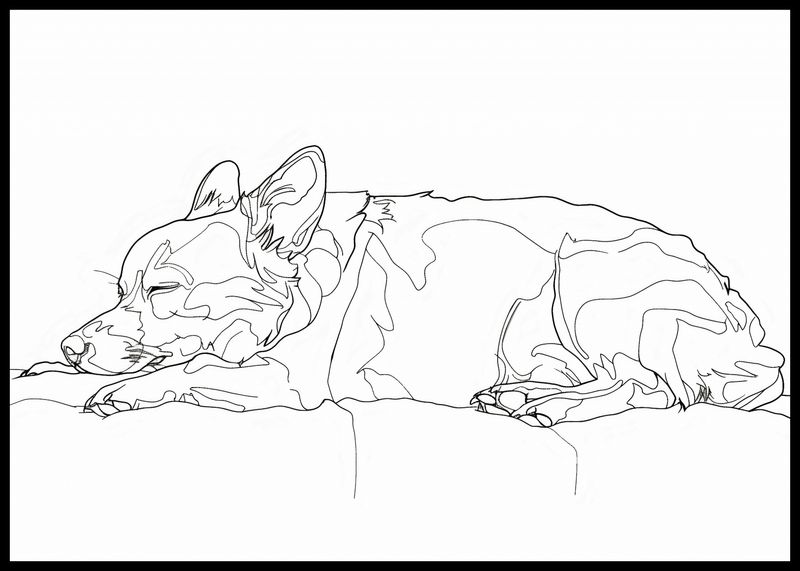 Plakat 84,1x59,4cm Śpiący Psiak zdjęcie 2