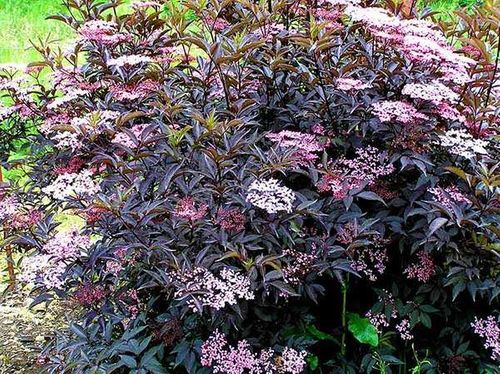 Bez kolumnowy Black Tower ® P9 E na Arena.pl