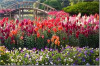 product-compare-58694515