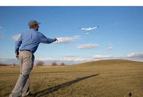 Whipit DLG Bind & Fly Basic na Arena.pl