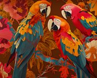 Plakat 50x40cm Kolorowe Ary