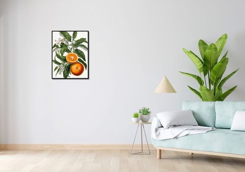 Plakat 50x65cm Dojrzałość Pomarańczy na Arena.pl