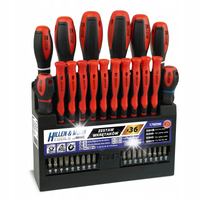 DEDRA 17W096 WKRĘTAKI BITY PŁASKIE PH PZ TORX 36EL