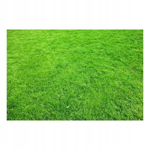 NAWÓZ TRAWNIK S 25kg TRAWY TRAWNIKA ZAGĘSZCZAJĄCY + OSMOCOTE GRATIS na Arena.pl