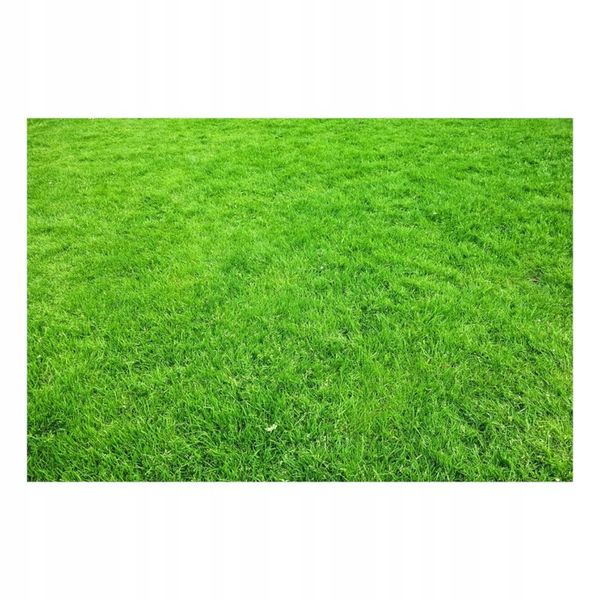 NAWÓZ TRAWNIK S 25kg TRAWY TRAWNIKA ZAGĘSZCZAJĄCY + OSMOCOTE GRATIS zdjęcie 6