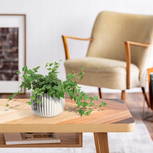 KADAX Doniczka Ceramiczna Osłonka 14cm Biała na Arena.pl