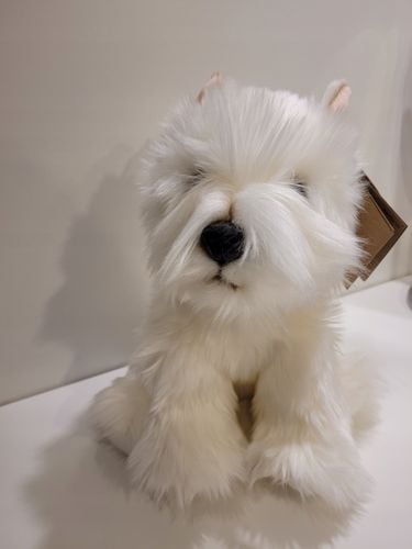 Pluszak Animigos Terier westie west higlander na Arena.pl