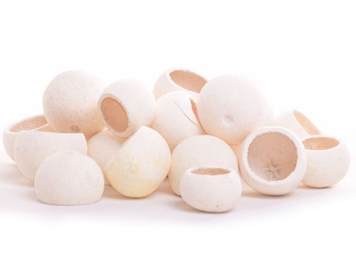 Bell cup wybielany S na Arena.pl