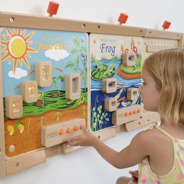 MASTERKIDZ Cykl Życia Rośliny Ścienna Tablica Edukacyjna Flex zdjęcie 5