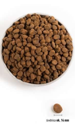 ORIJEN REGIONAL RED DOG 2KG na Arena.pl