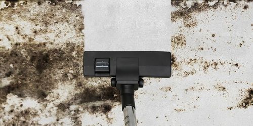 ODKURZACZ CYKLONOWY BEZWORKOWY TAIA HEPA 3L LIMITED EDITION PEARL na Arena.pl