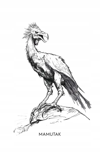 Rozdroże Kruków zdjęcie 6