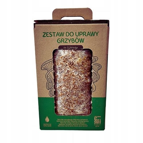 Soplówka Jeżowata MUSHROOMS GROW KIT grzybnia na Arena.pl