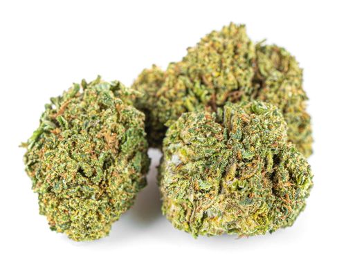 Susz konopny CBD | AMNESIA HAZE | 100 g na Arena.pl