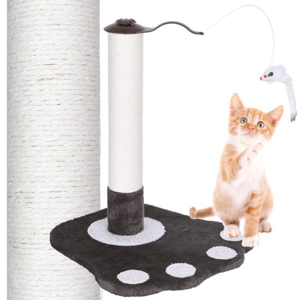 Drapak dla kota TOLEK antracyt zdjęcie 1