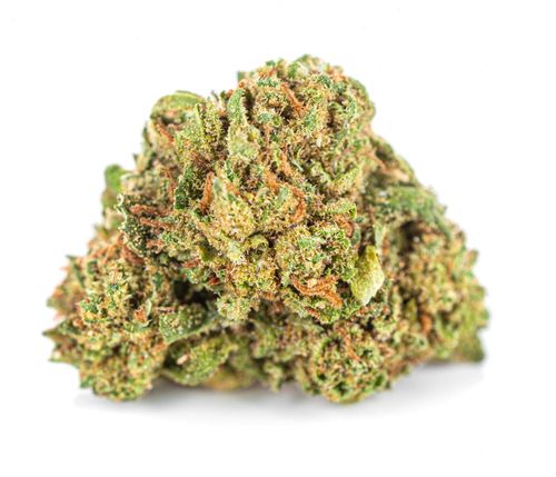 Susz konopny CBD | ORANGE BUD | 50 g na Arena.pl