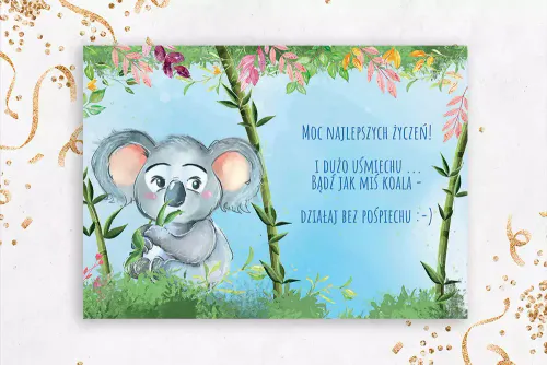 Karnet A5 Koala na Arena.pl