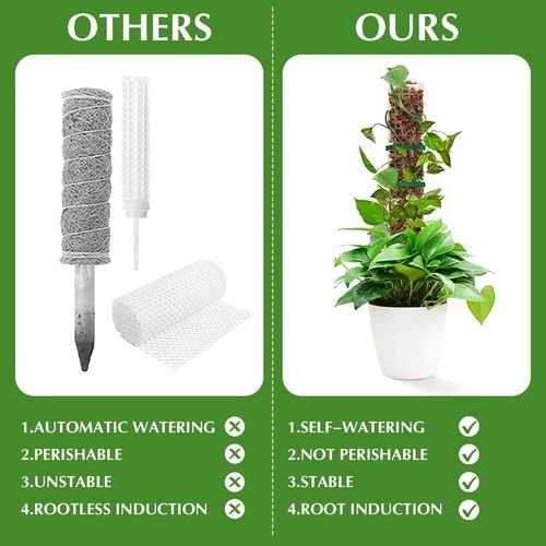 Przezroczyste pręty do roślin pnących zestaw DIY 61 cm na Arena.pl