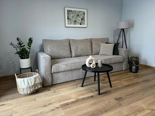 SOFA ROZKŁADANA Z FUNKCJĄ SPANIA, KANAPA SOFIA SPRĘŻYNY BONELL SZTRUKS na Arena.pl