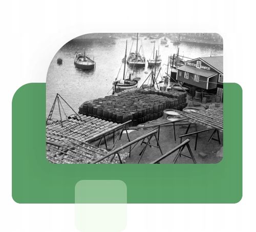 3x Möller's Omega-3 RYBKI mix SMAKÓW żelki 36szt ODPORNOŚĆ dla dzieci TRAN na Arena.pl