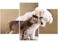 90X60CM OBRAZ PRZYJACIELE TRZY OBRAZY