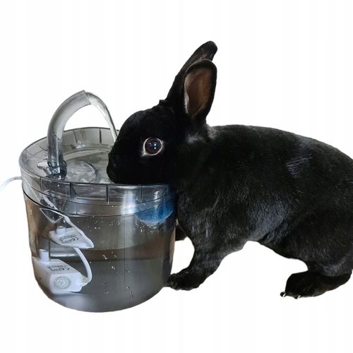 POIDEŁKO DOZOWNIK AUTOMAT FONTANNA DLA KOTA PSA na Arena.pl