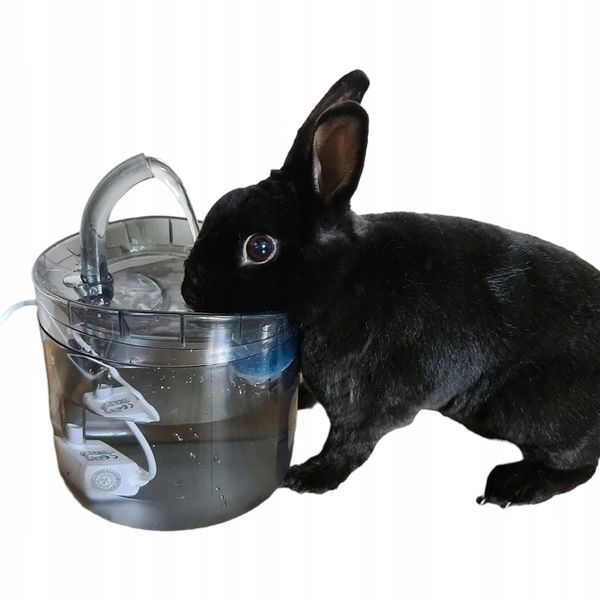 POIDEŁKO DOZOWNIK AUTOMAT FONTANNA DLA KOTA PSA zdjęcie 13