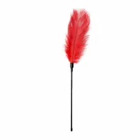 easytoys red feather tickler - czerwony piorko do zmysłowej stymulacji