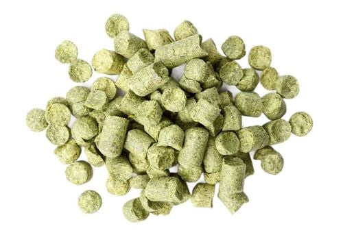 Chmiel Columbus (USA) granulat 100 g 2023 na Arena.pl