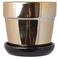 product-compare-55924875