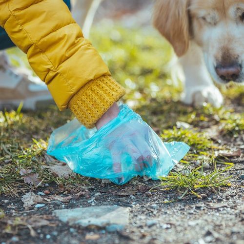 WORKI WORECZKI NA PSIE ODCHODY KUPY KUPA PSA TOREBKI MOCNE ZESTAW 1500 SZT na Arena.pl