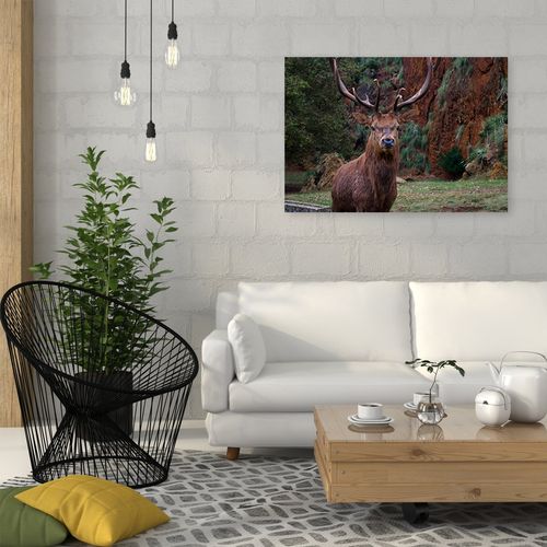 Obraz na płótnie – Canvas, król lasu 60x40 na Arena.pl