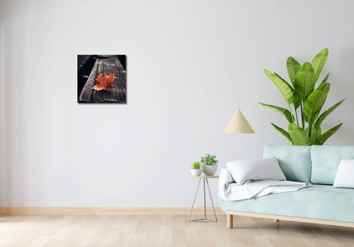 Obraz 40x40cm Pojedynczy Liść na Arena.pl