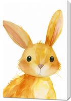 product-compare-59493274