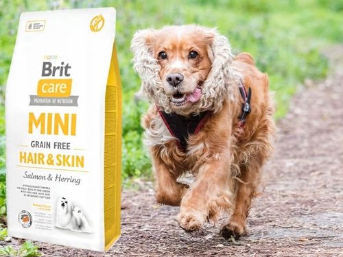 Karma dla psa BRIT Łosoś ze śledziem 7 kg na Arena.pl
